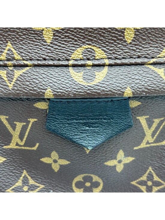 Louis Vuitton Palm Spring Backpack MM Sac main image 15